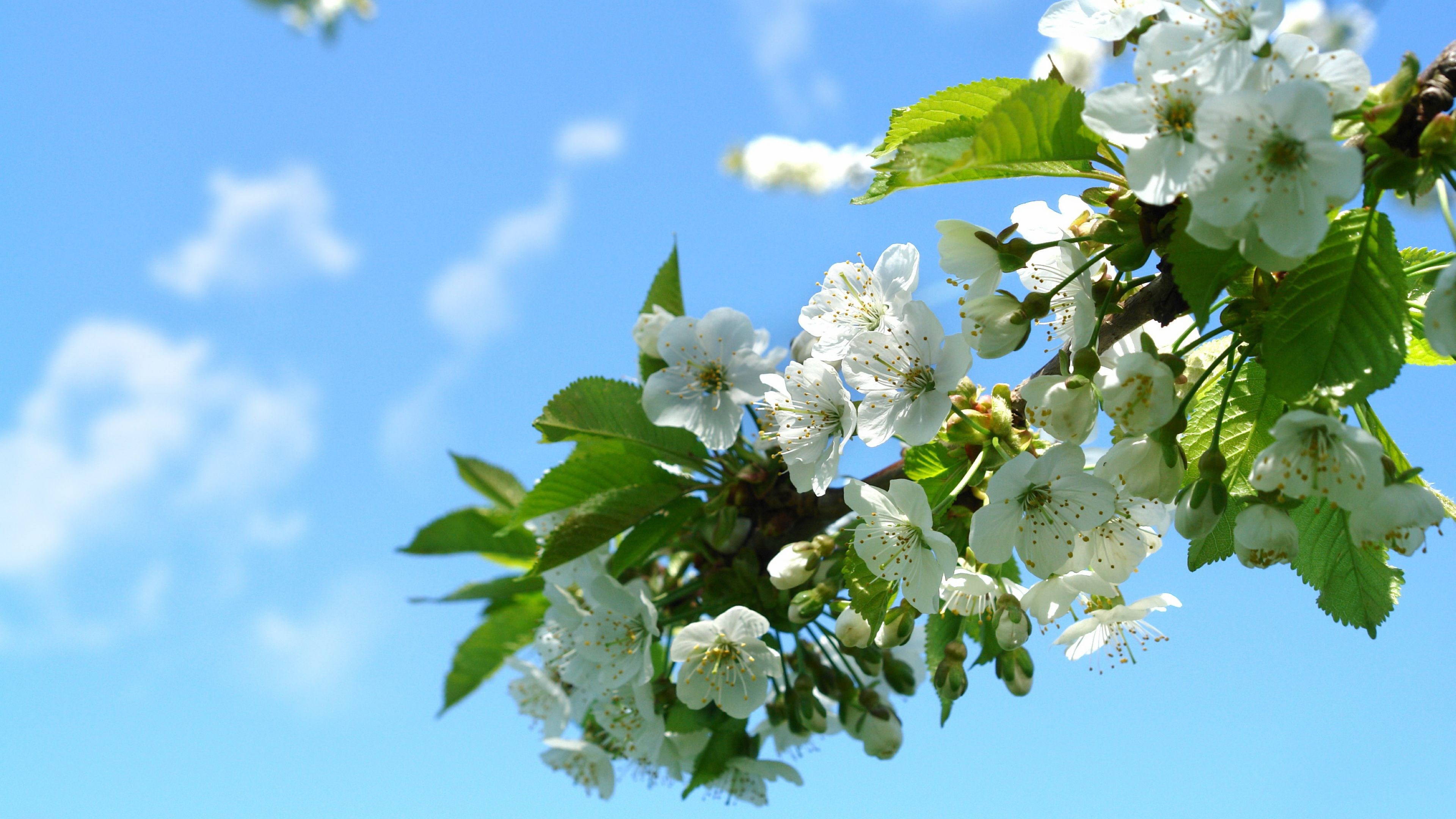 [OI][trick]利用对称去掉偏序关系